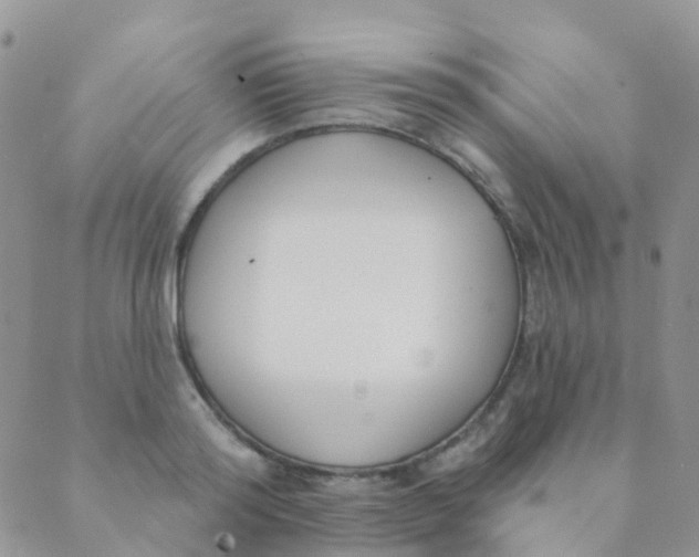 X0000089420796200707061317