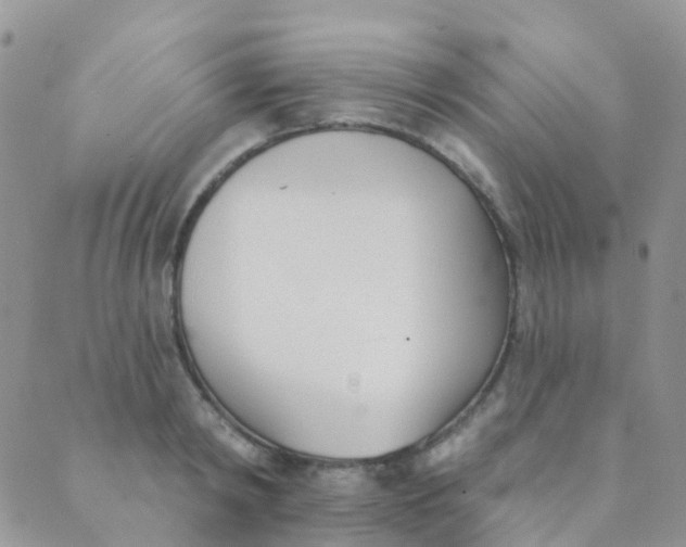 X0000089420798200707061317