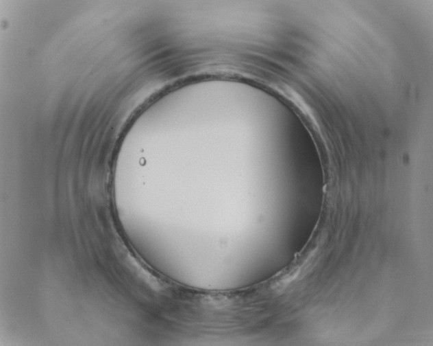 X0000089420799200707061317