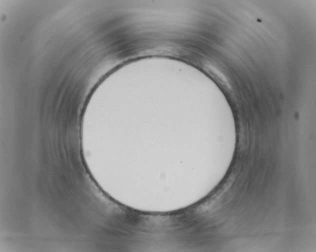 X0000089420800200707061317