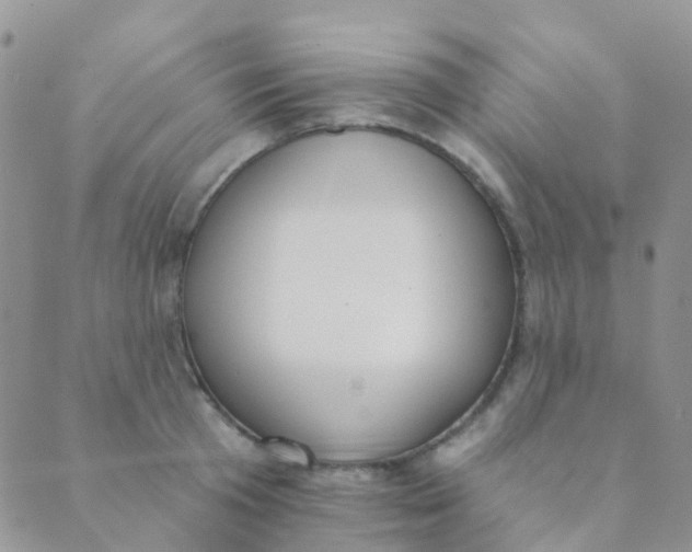 X0000089420801200707061317