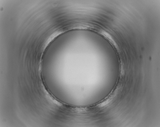 X0000089420802200707061317