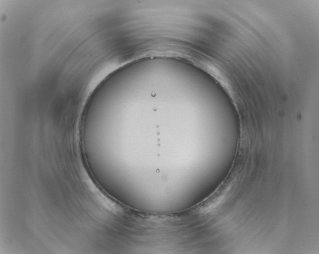 X0000089420803200707061317