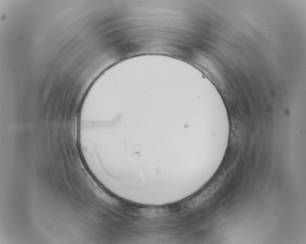 X0000089420804200707061317