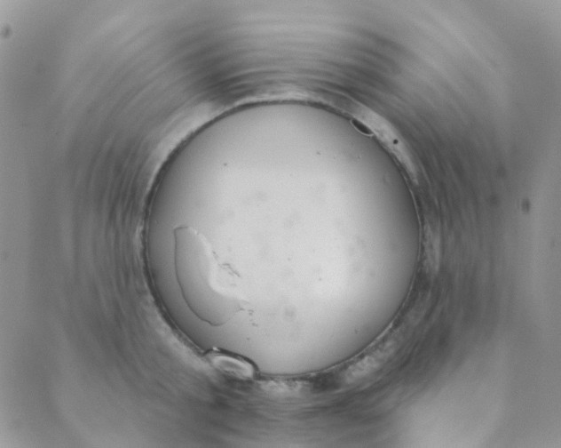 X0000089420805200707061317