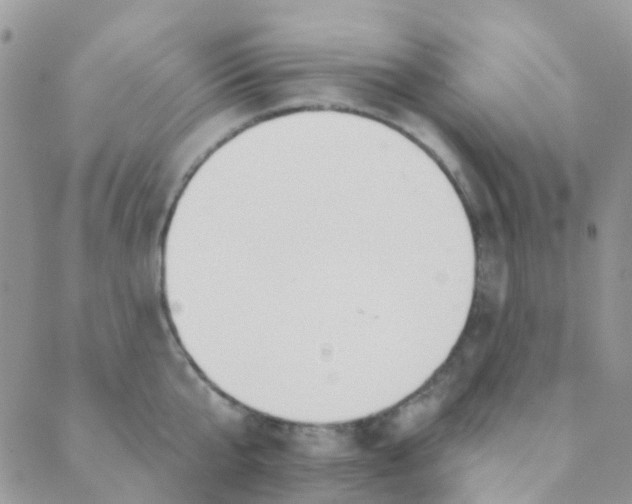 X0000089420807200707061317