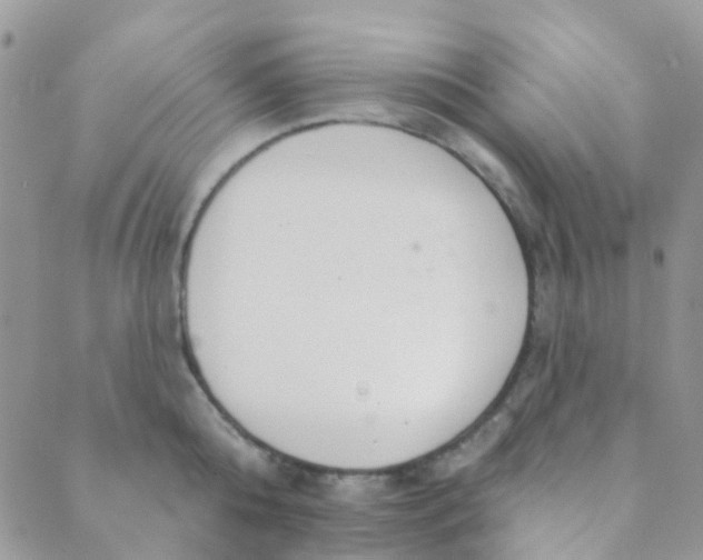 X0000089420808200707061317