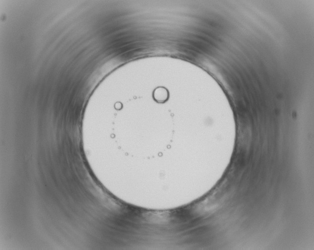 X0000089420810200707061317