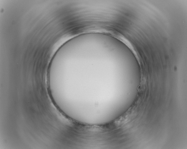 X0000089420811200707061317