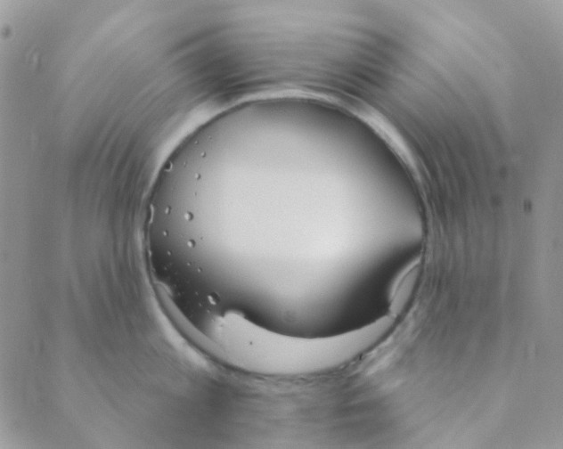 X0000089420813200707061317