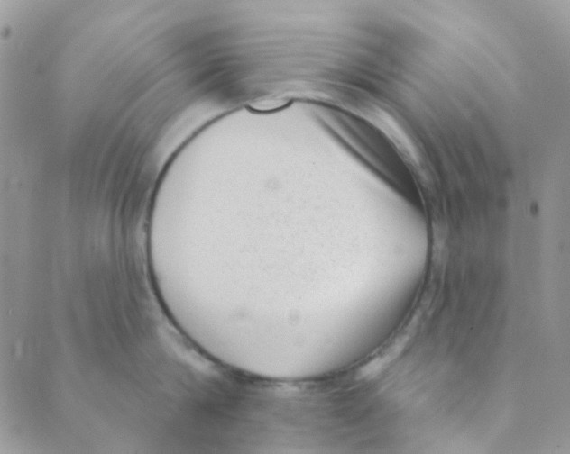 X0000089420814200707061317