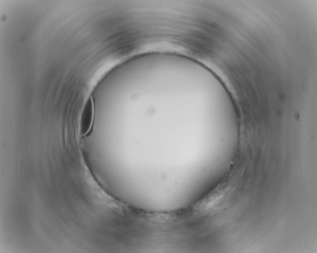 X0000089420815200707061317