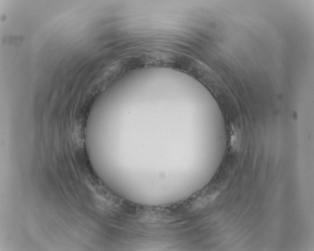 X0000089420819200707061316