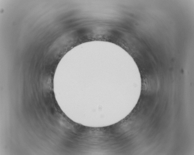 X0000089420820200707061316