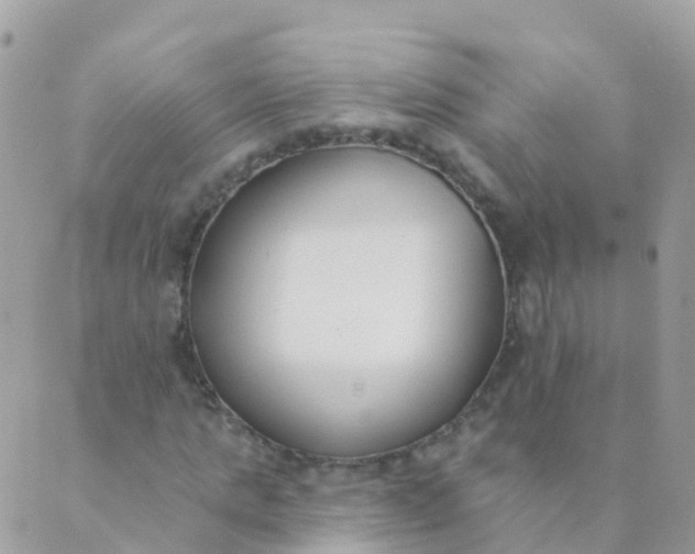 X0000089420821200707061316