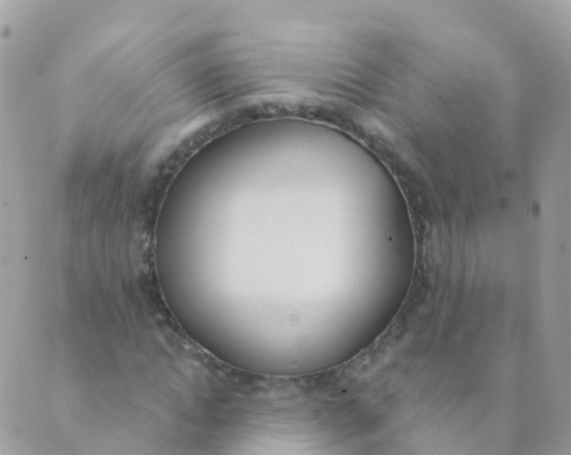 X0000089420822200707061316