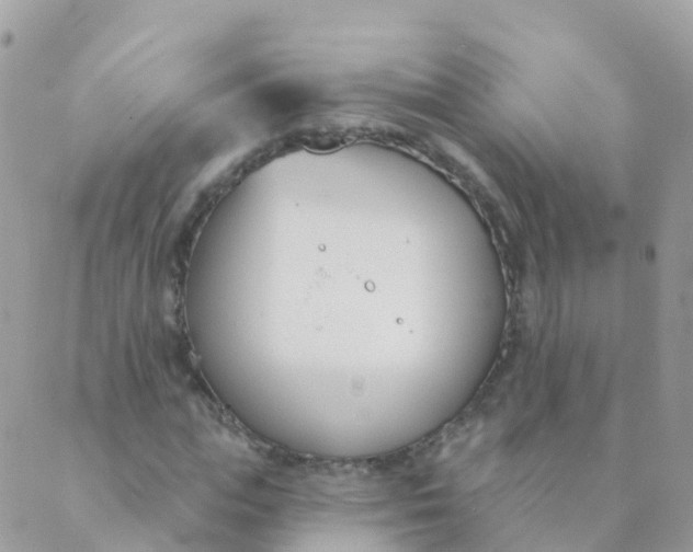 X0000089420823200707061316