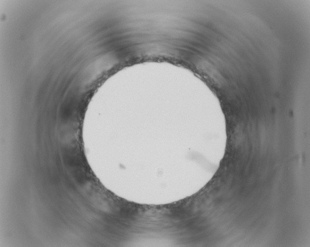 X0000089420824200707061316