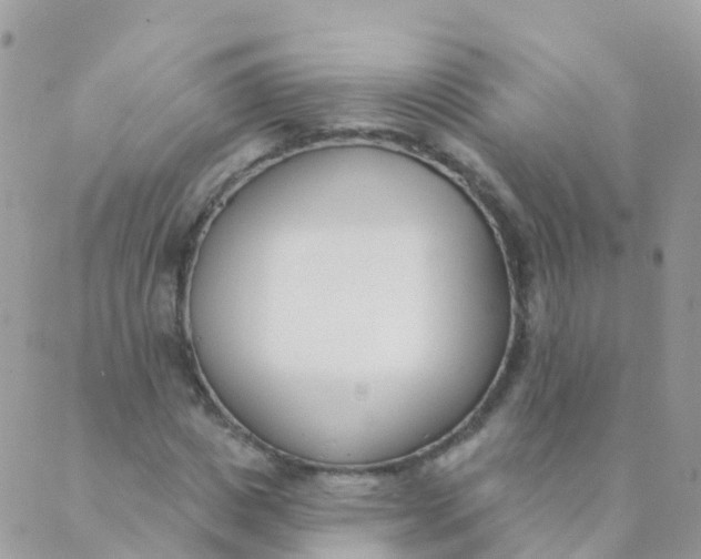 X0000089420825200707061316