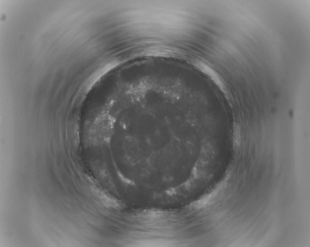 X0000089420829200707061316