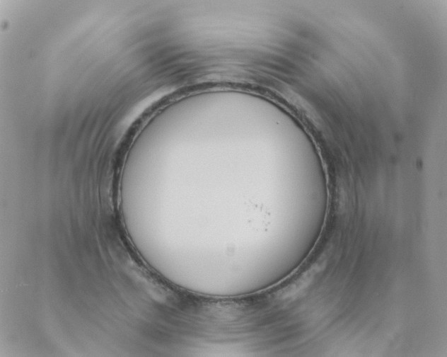 X0000089420830200707061316