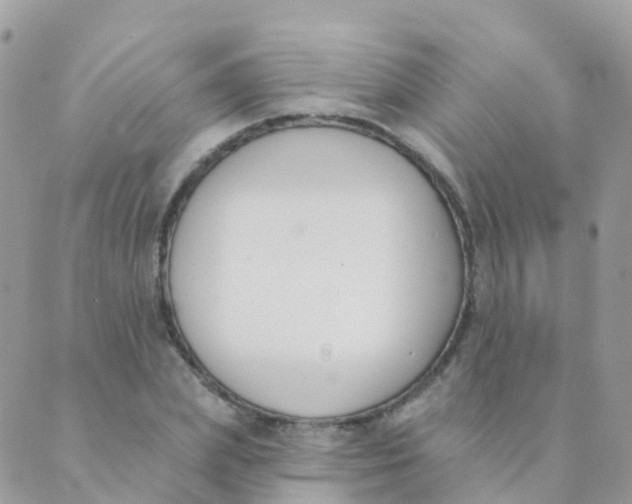 X0000089420831200707061316