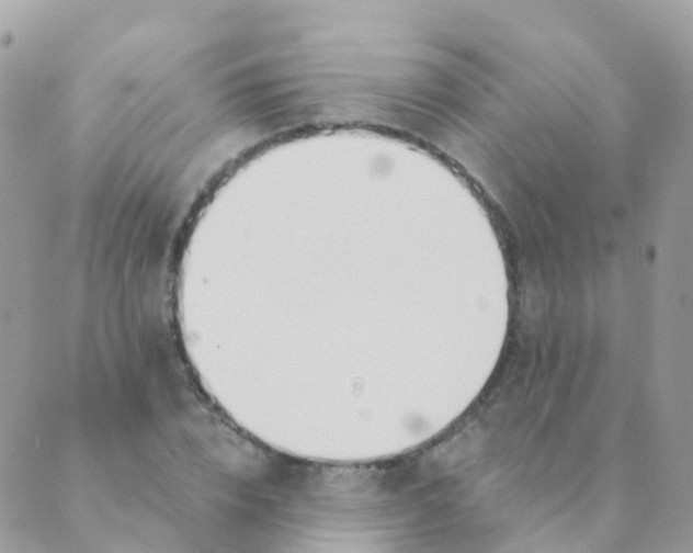 X0000089420832200707061316