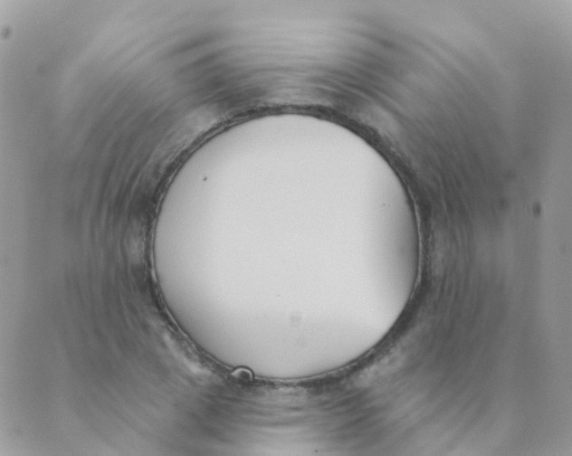 X0000089420833200707061317