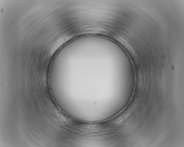 X0000089420834200707061317