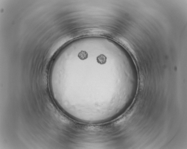 X0000089420835200707061317