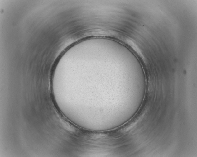 X0000089420837200707061317