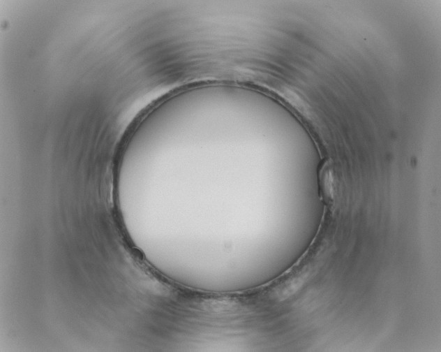 X0000089420838200707061317