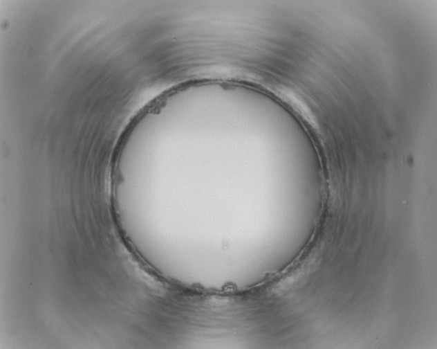 X0000089420839200707061317