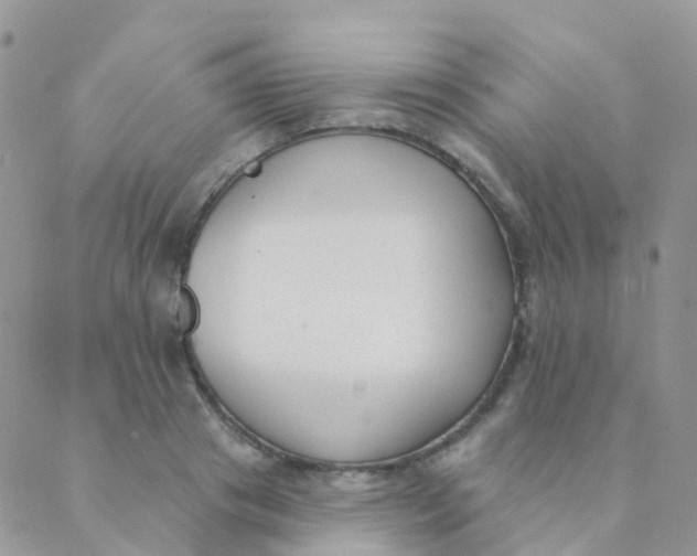 X0000089420841200707061317