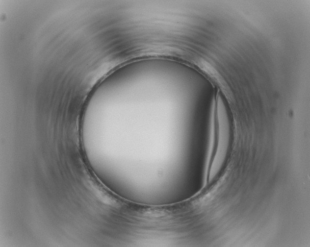 X0000089420842200707061317