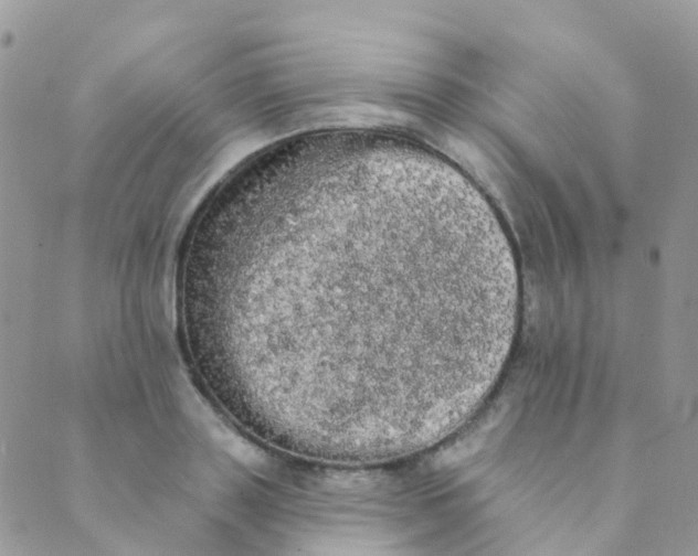 X0000089420843200707061317