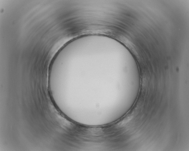 X0000089420844200707061317