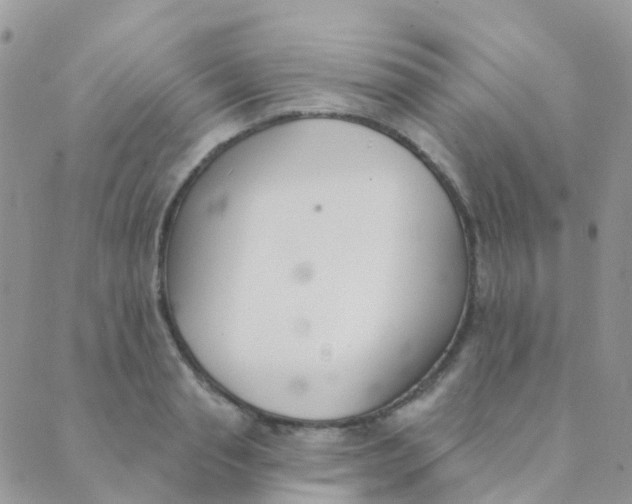 X0000089420845200707061317