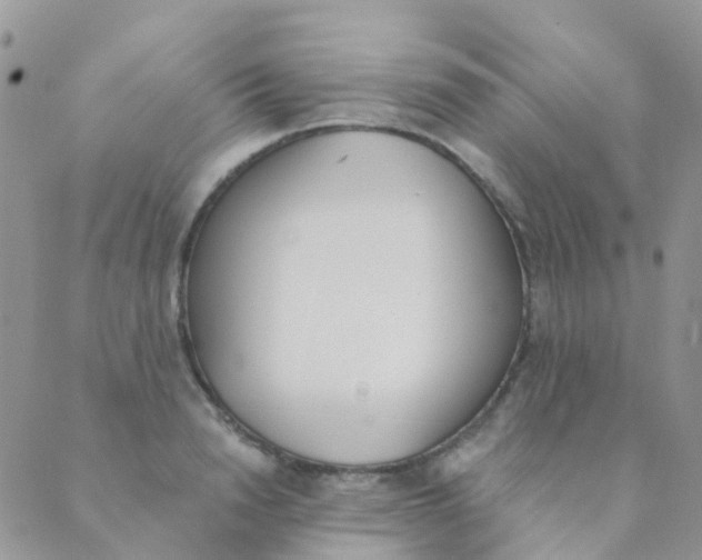 X0000089420846200707061317