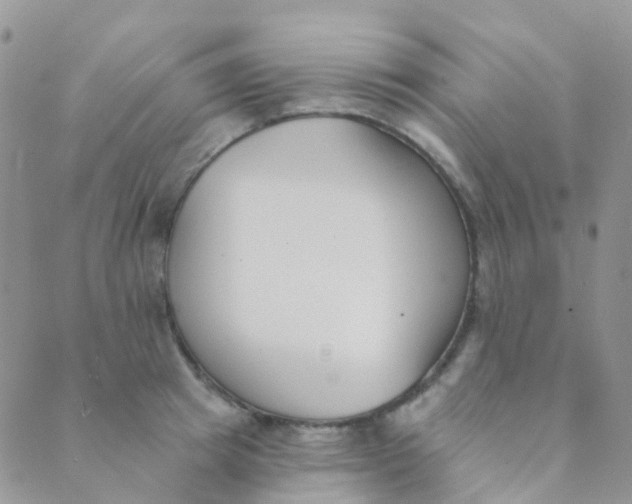 X0000089420849200707061317