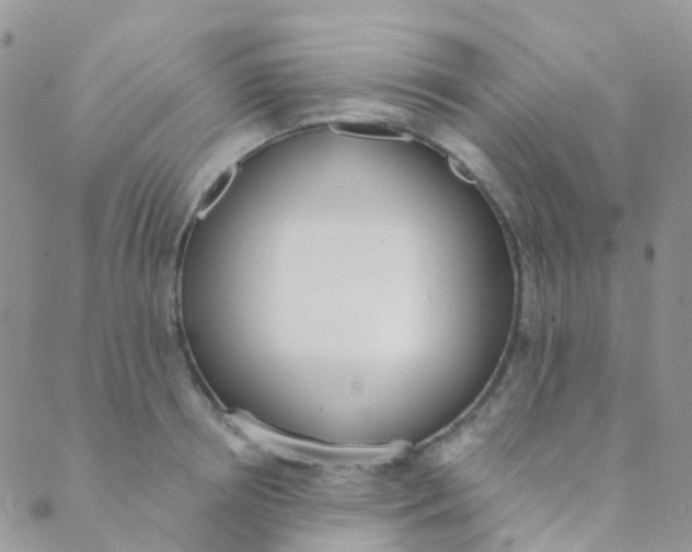 X0000089420850200707061317