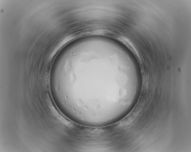 X0000089420851200707061317