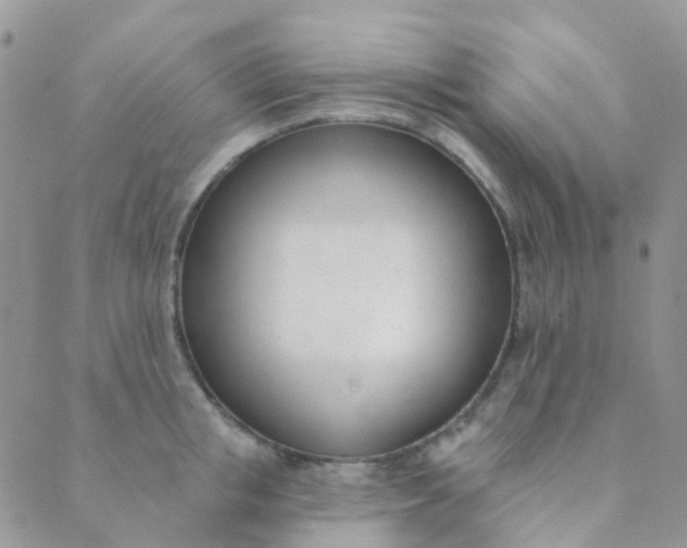 X0000089420853200707061317