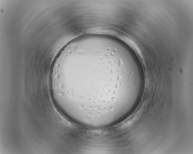 X0000089420855200707061317