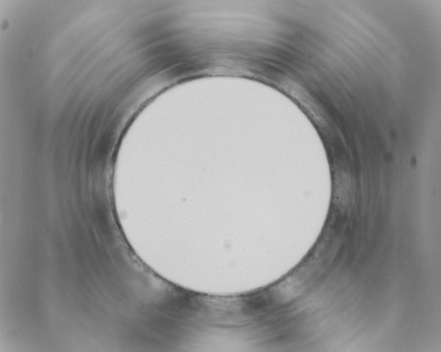 X0000089420856200707061317