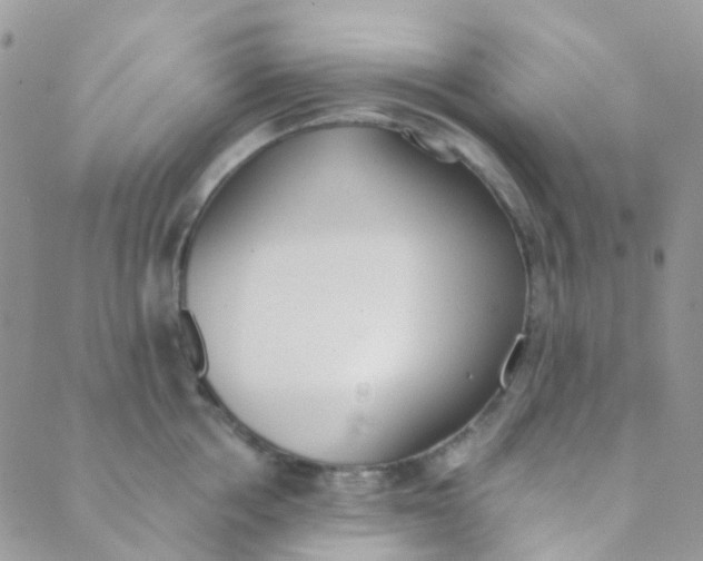 X0000089420858200707061317