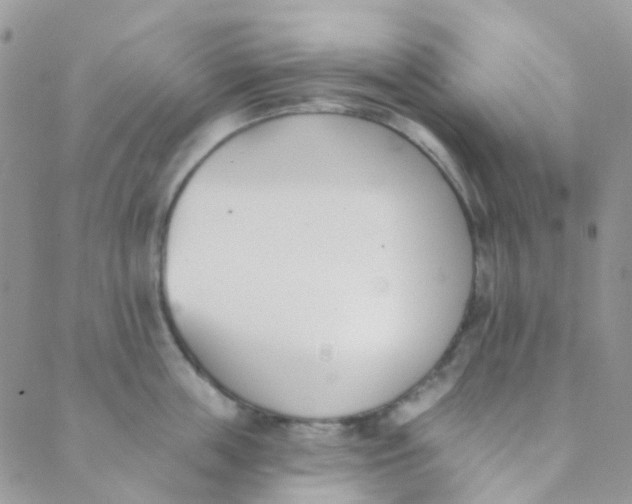 X0000089420859200707061317