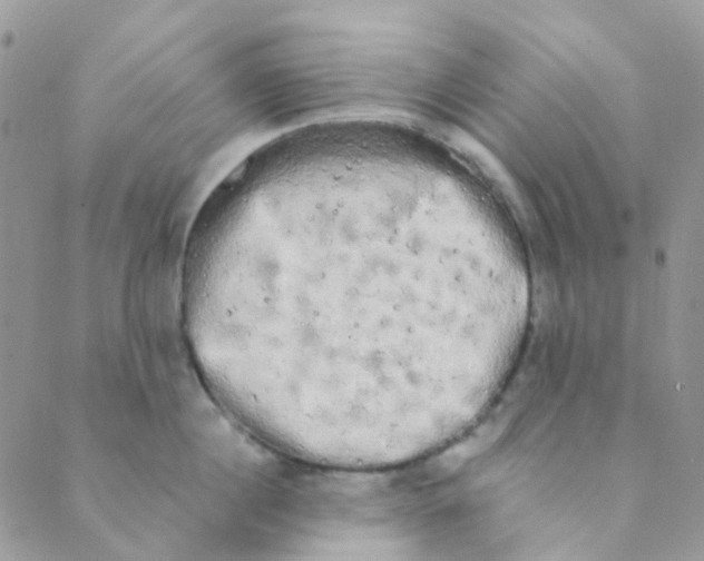 X0000089420860200707061317