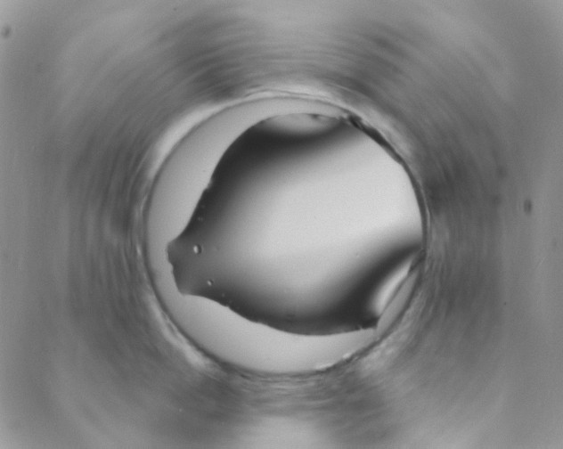 X0000089420862200707061317