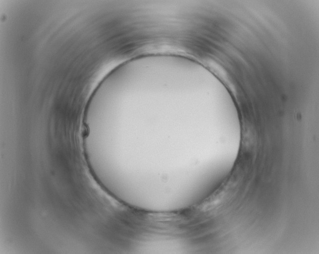 X0000089420863200707061317